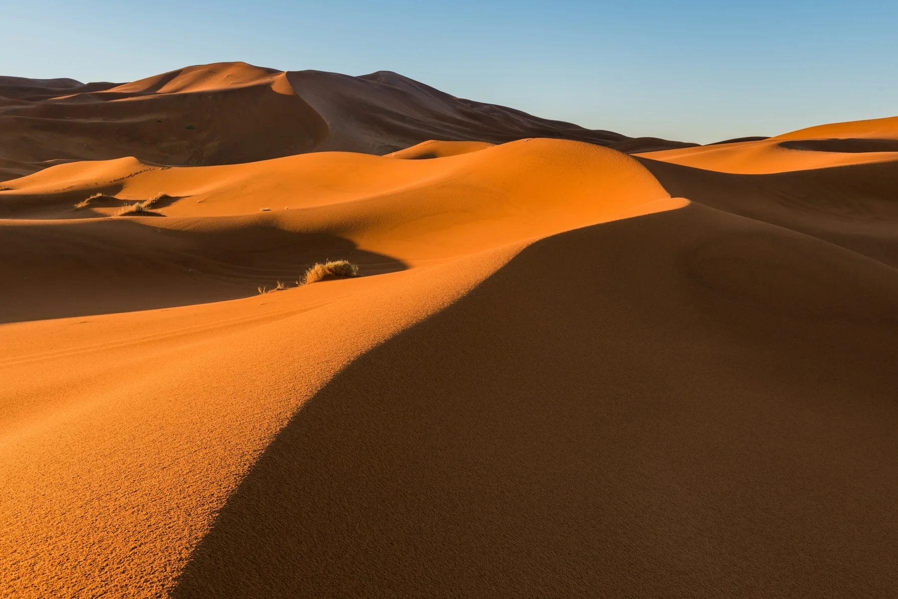Panorama des dunes de Merzouga dans l’Erg Chebbi