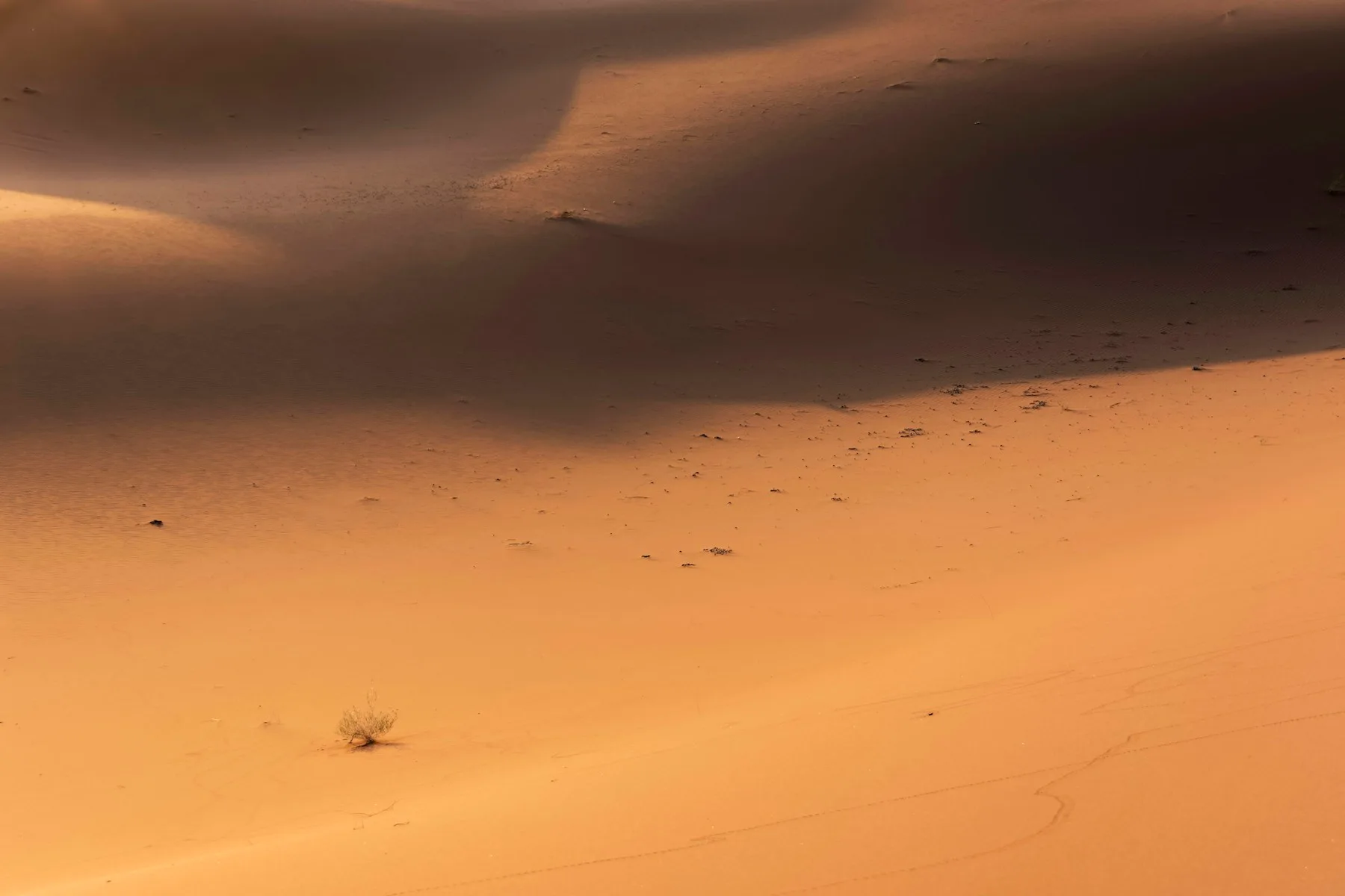 Dunes de sable et ombres dans l’Erg Chebbi à Merzouga