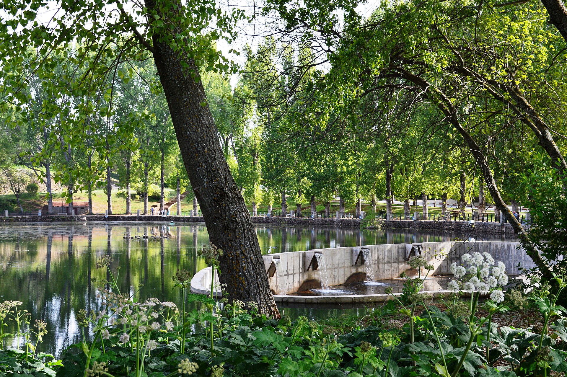 Le lac du parc La Prairie à Ifrane